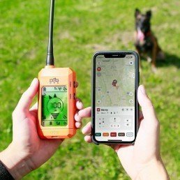 COLLAR GPS DOGTRACE X30