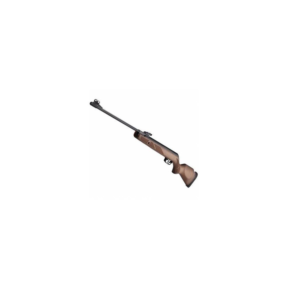 CARABINA GAMO HUNTER 440 CAL.5,5