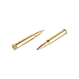 REMINGTON Core - Lokt Tipped - 30-06 - 180 grains