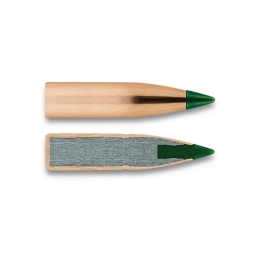 REMINGTON Core - Lokt Tipped - 30-06 - 180 grains