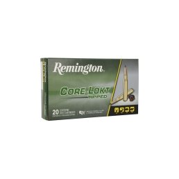 REMINGTON Core - Lokt Tipped - 30-06 - 180 grains