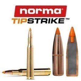 NORMA TIPSTRIKE - Cal. 30-06 sprg. - 170 gr - 20 und.